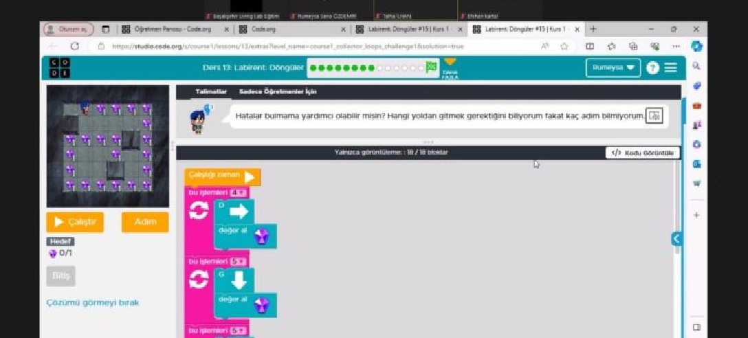 CODE ORG ile Kodlamaya Merhaba Dedik